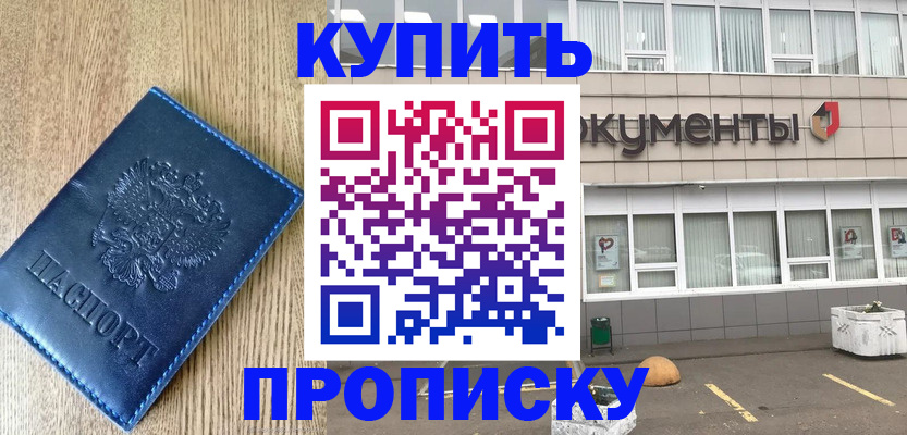 временная регистрация поиск в Курске